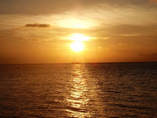 f0204584_2544815.jpg