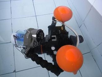 c0215593_12514991.jpg