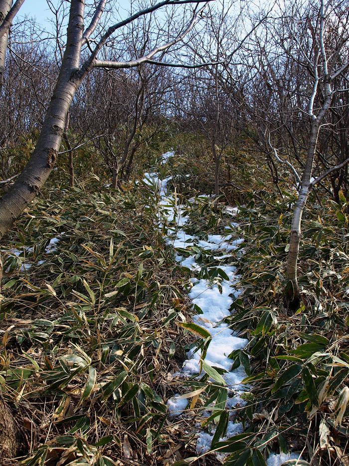 室蘭の低山めぐり　その３　　鍋島山　給食センターから北尾根へ　　2011.2.26_f0200402_18124588.jpg