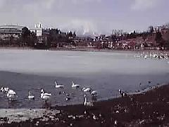 f0055803_1554046.jpg