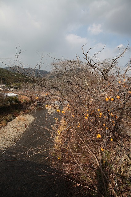 f0233103_13474013.jpg