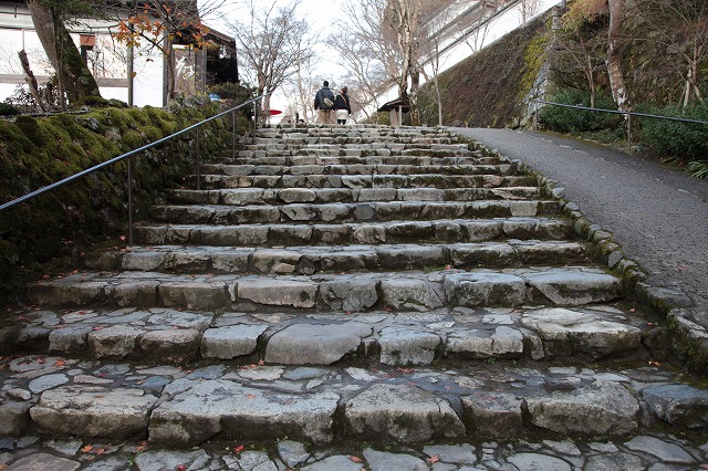 師走の京都・大原・三千院_f0233103_1350311.jpg