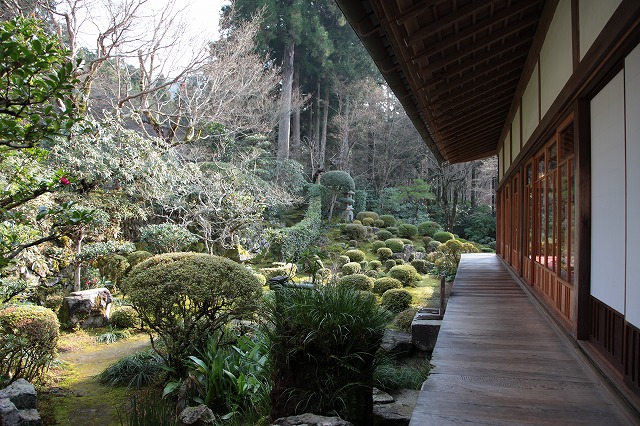 師走の京都・大原・三千院_f0233103_13505262.jpg