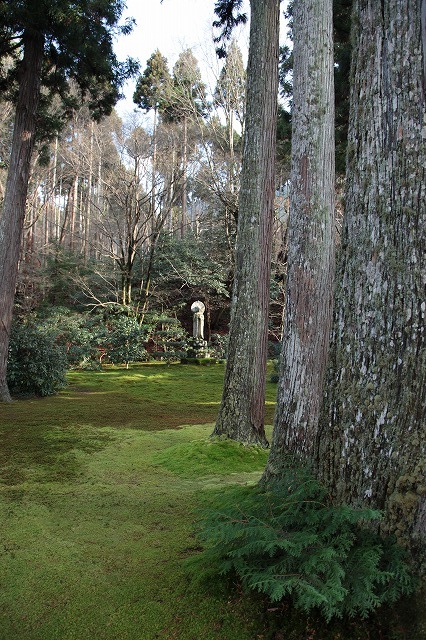 f0233103_13523869.jpg
