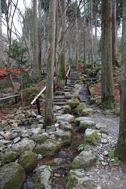 師走の京都・大原・三千院_f0233103_13542637.jpg