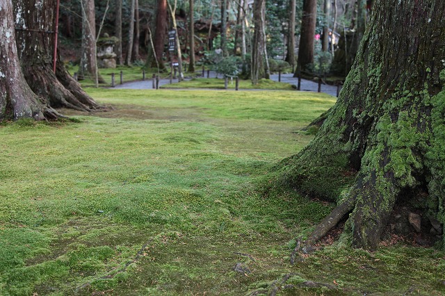 師走の京都・大原・三千院_f0233103_13564591.jpg