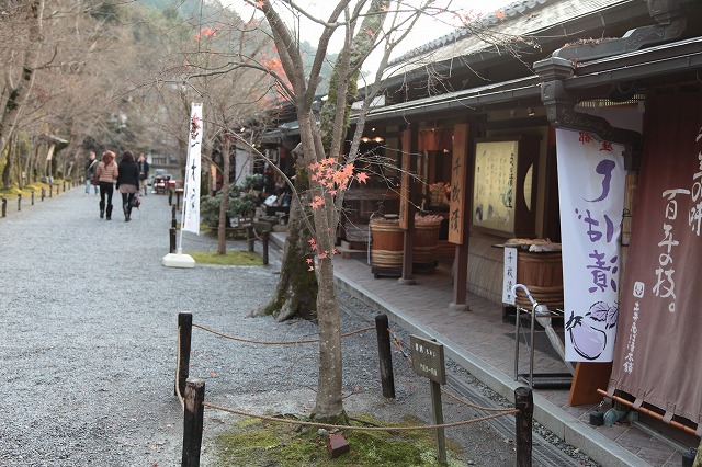 師走の京都・大原・三千院_f0233103_142582.jpg