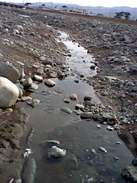a0101404_17474240.jpg