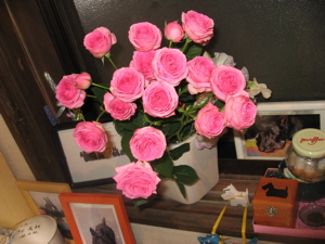 a0045006_2158316.jpg