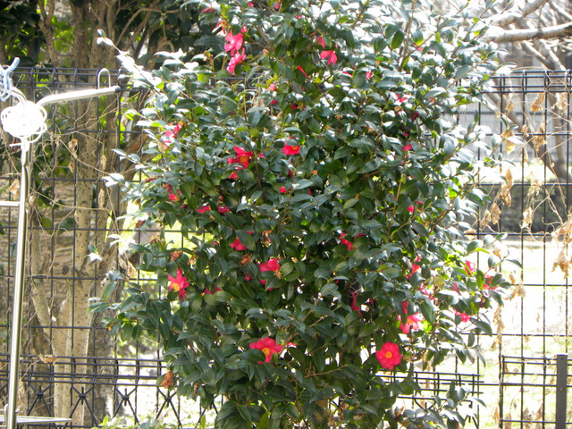 f0224506_192126.jpg