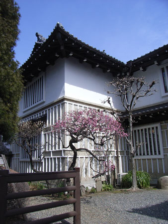日本民藝館 日本の古人形ー美春・鴻巣・堤などー_b0129807_1772196.jpg