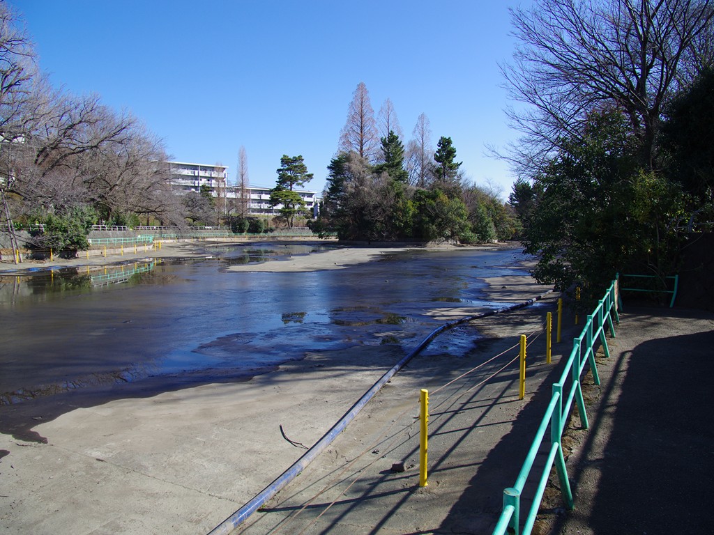 公園と早大グラウンド_c0105807_14555185.jpg