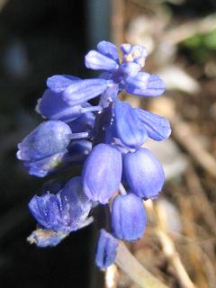 f0077807_8463668.jpg