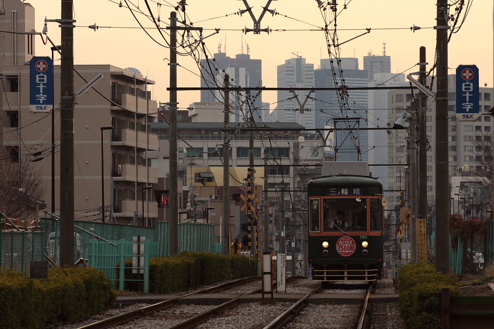 さよならヘッドマーク付き＆阪堺カラーの電車　- 2011年・東京都電 -_b0190710_1954468.jpg