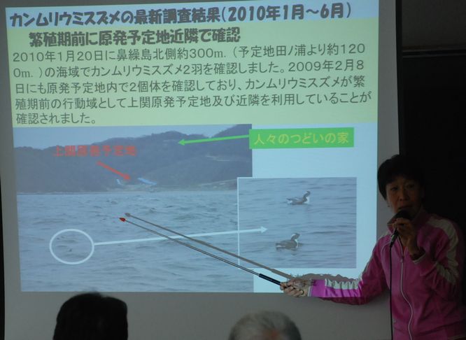 上関原発の建設を阻止して奇跡の海を守ろう_d0174710_950136.jpg