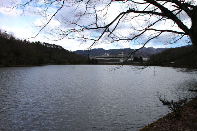 宝が池 紅白梅_e0048413_1671431.jpg