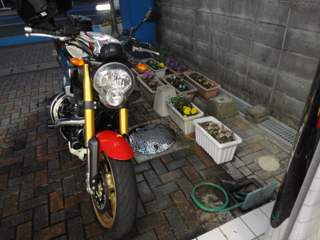 f0232613_2141630.jpg