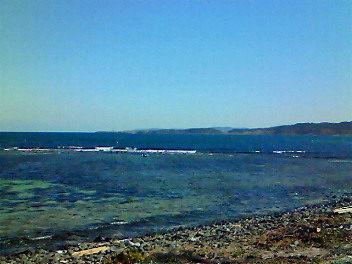f0155516_11173237.jpg