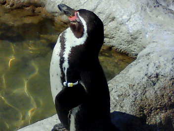 f0155516_11215127.jpg