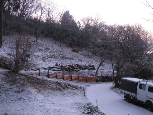 a0125419_17284230.jpg