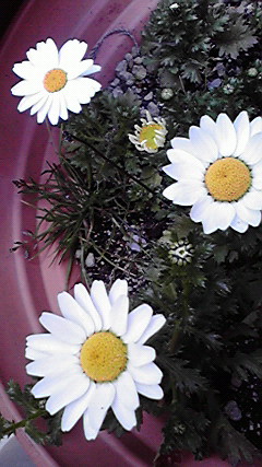 d0110022_2254261.jpg