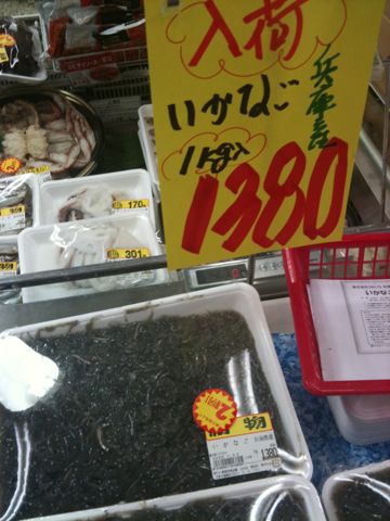 2011年 イカナゴ解禁!豊漁だそうです!!_b0054727_6481324.jpg