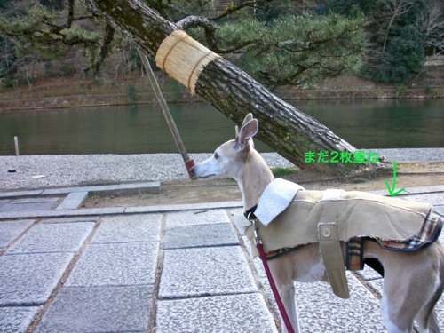 お散歩_a0197730_23181083.jpg