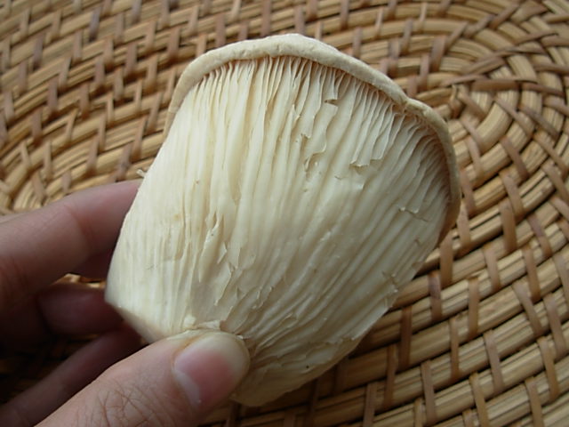 b0185330_16252787.jpg