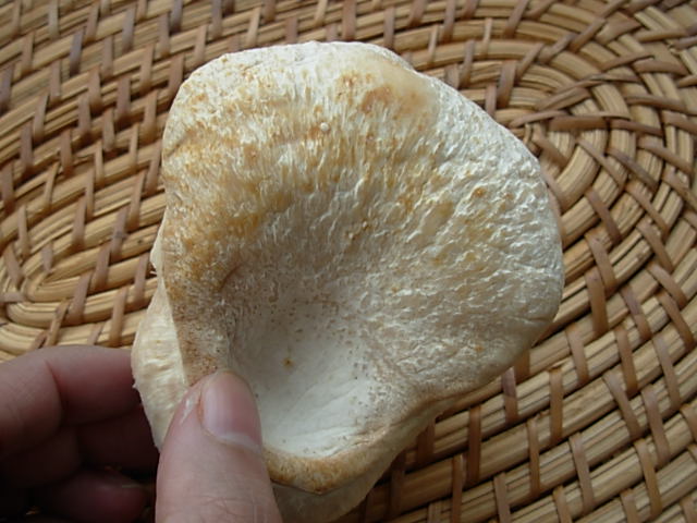b0185330_16254695.jpg