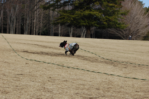 根岸森林公園_b0113232_19123983.jpg