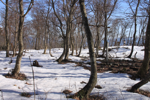 d0055236_14144591.jpg
