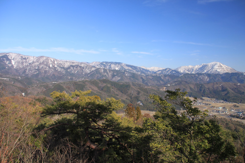 d0055236_1475289.jpg