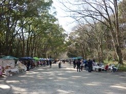 c0224638_212502.jpg