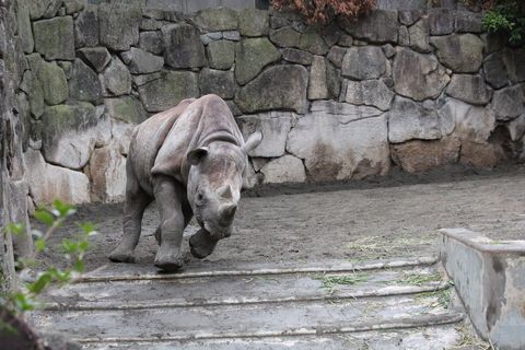 走りま～す。　2011/02/24_d0214638_22291824.jpg