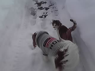 e0145441_23421996.jpg