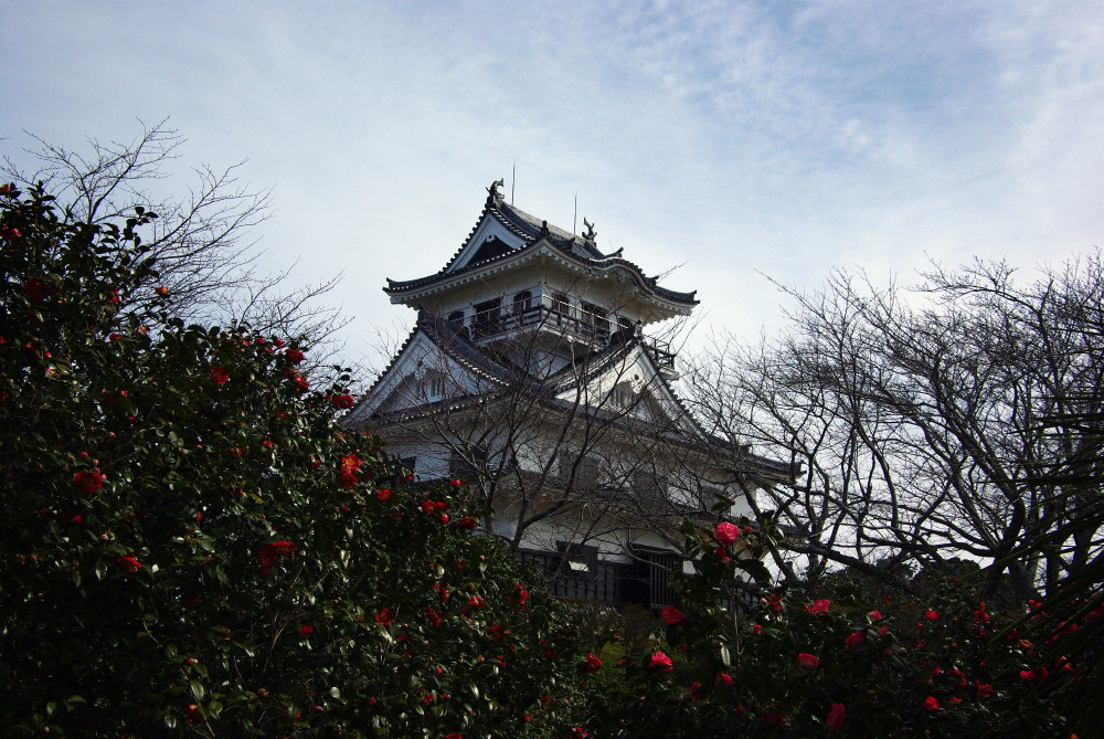 城を撮る～千葉県館山市・館山城～_e0132243_22393255.jpg