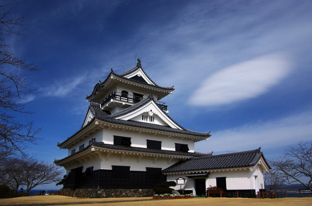 城を撮る～千葉県館山市・館山城～_e0132243_2239328.jpg