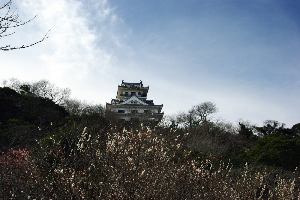 城を撮る～千葉県館山市・館山城～_e0132243_22395056.jpg