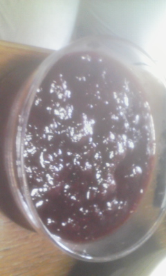 c0217246_1014187.jpg