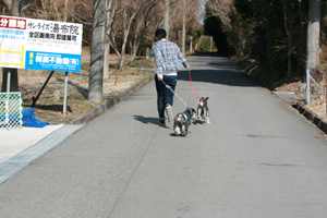 湯布院の旅　＜２日目・・・＞_f0214346_1334990.jpg