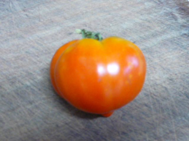 a0118447_18442427.jpg