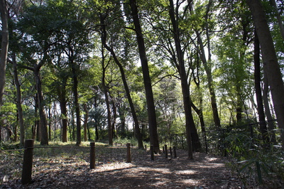 a0123451_01243.jpg