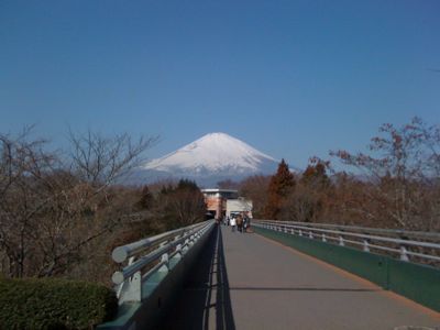 b0005652_9282252.jpg