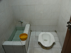 e0020752_2312982.jpg