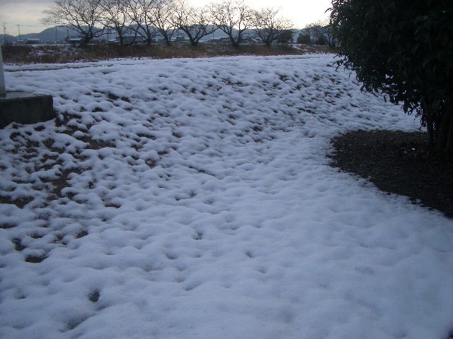 雪んこバレンタイン　_a0118657_11315190.jpg