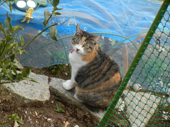 3月6日(日)平和な一日!_f0060461_20171543.jpg