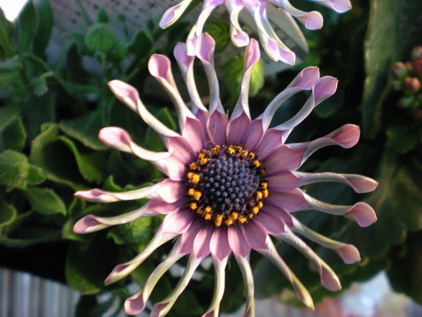 e0003465_22491735.jpg