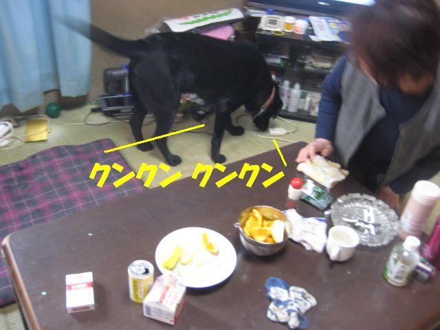 a0144266_21175370.jpg