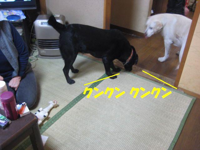 a0144266_2118514.jpg
