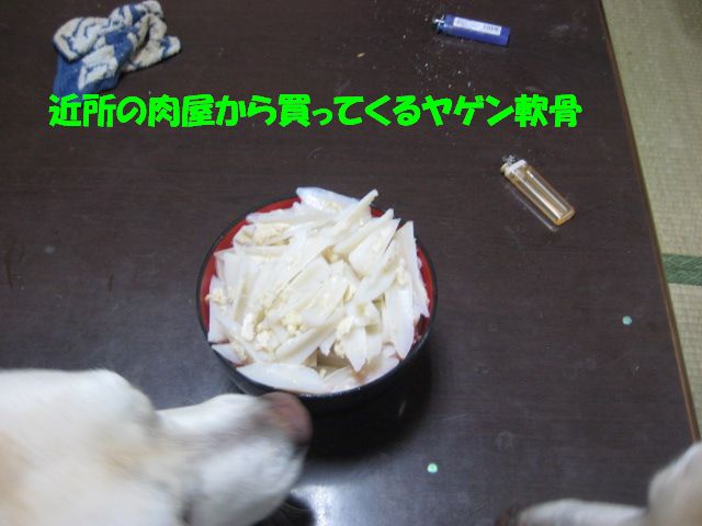 a0144266_21194378.jpg